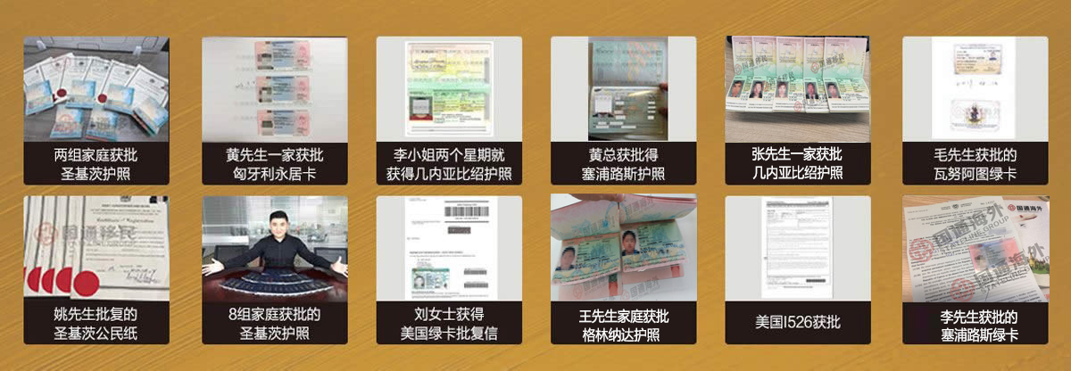 護照案例